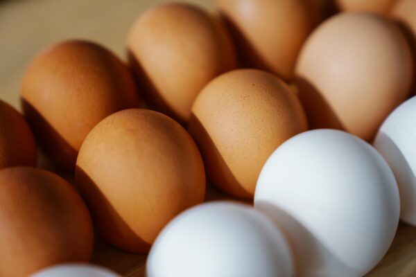 EGG